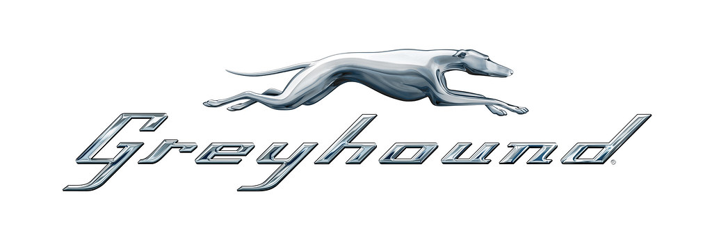 greyhound